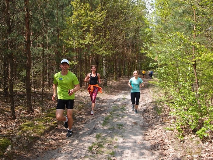 Trenuj z mistrzem – obóz biegowo-jogowy w Puszczy Niepołomickiej