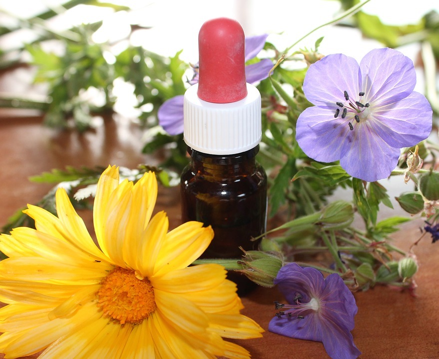 Homeopatia – czy to działa?